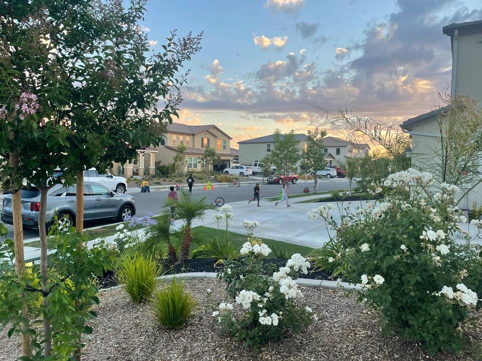 Suburb Dream, City Soul: My Moving Mistake