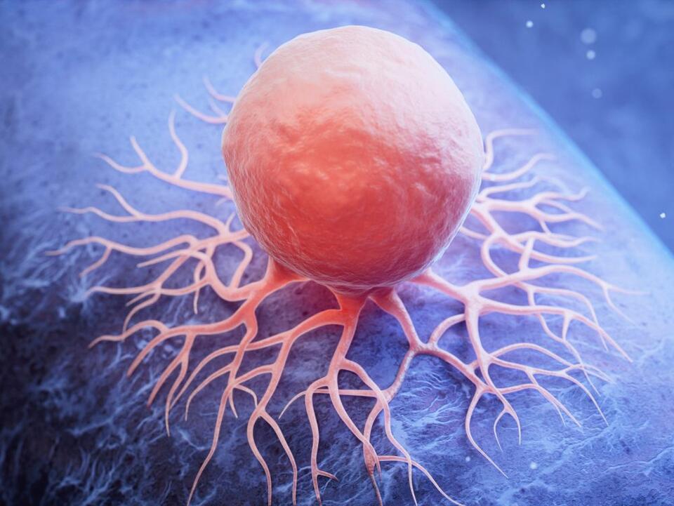 Cancer Cells Ride Energy Waves?!
