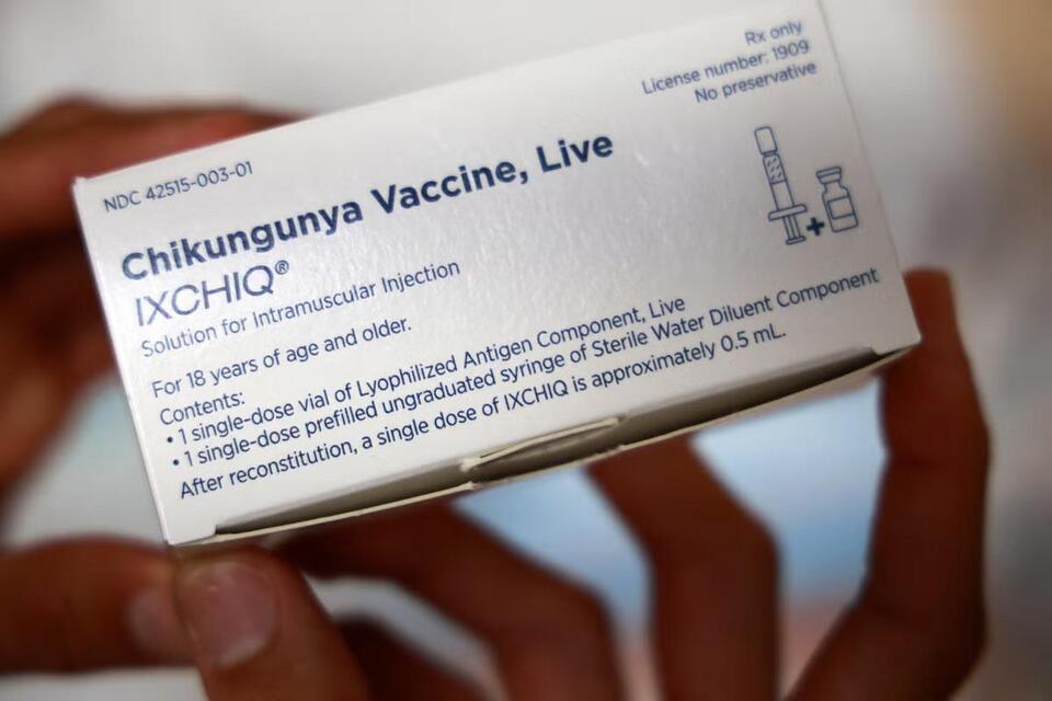 Mosquito Alert: Chikungunya in France?!