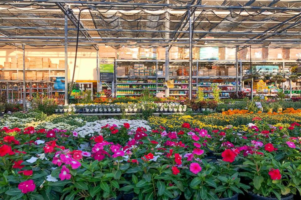 Home Depot’s Selling These Plant Villains?!