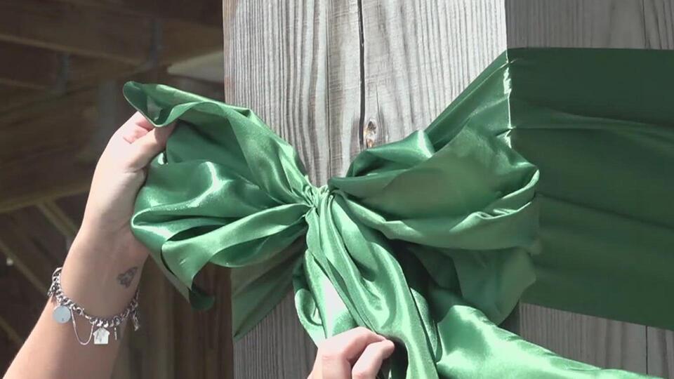 Green Ribbons, Big Impact 💚