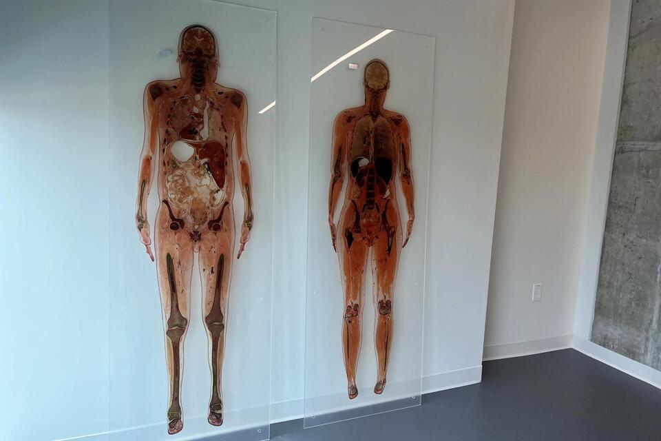 Inside Charlotte’s Brand New Med School