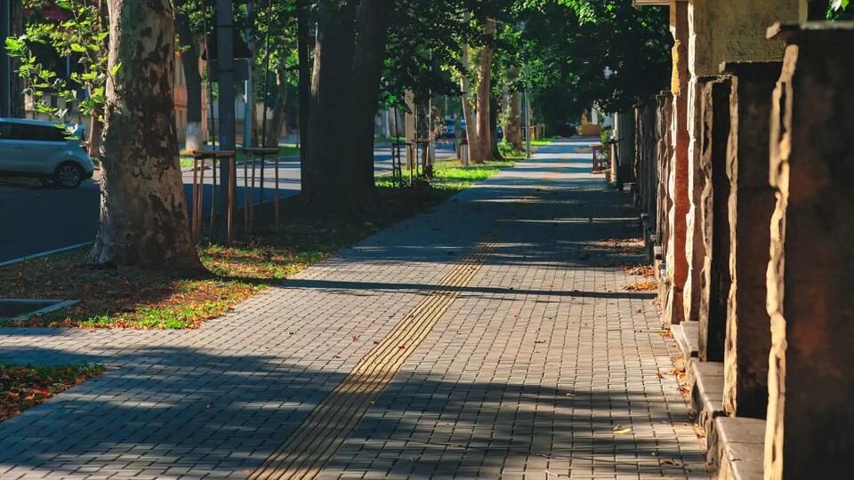 Trees: The Secret to Cooler Cities?