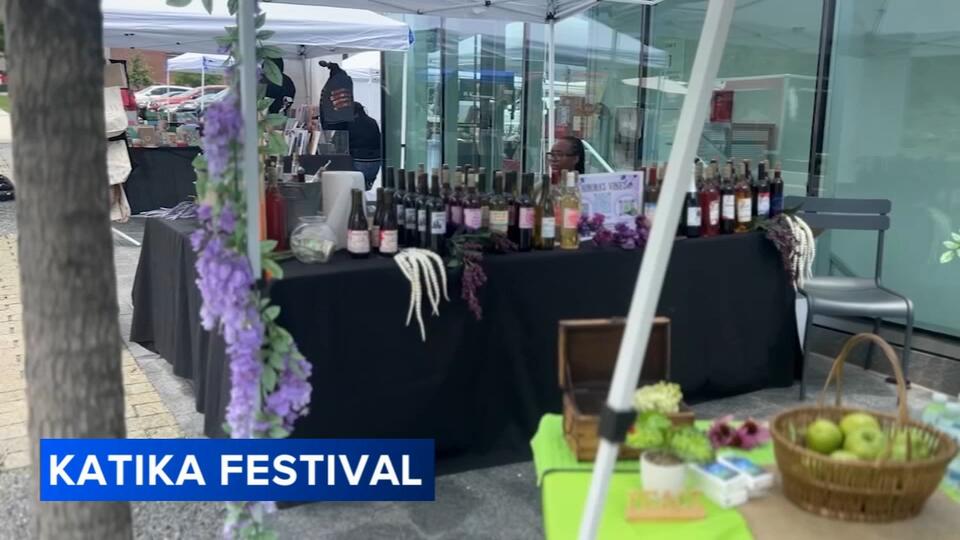 Kidpreneur Sells Lemonade, Inspires Community