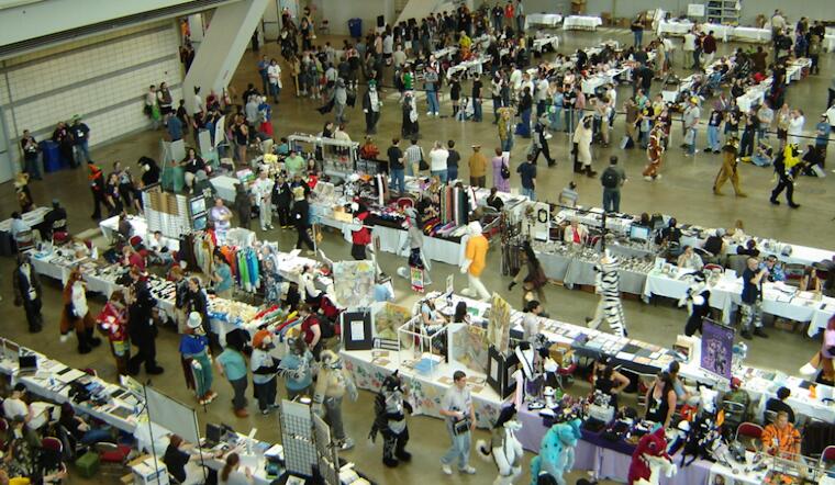 Furries Just Raised $90K for Rescue Cats?!