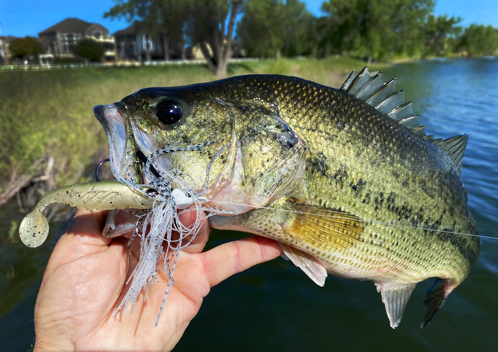 why most anglers struggle with summer bass
