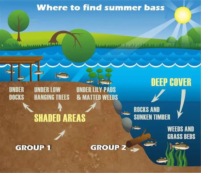 why most anglers struggle with summer bass