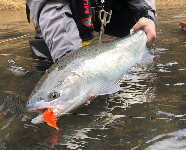 why floating jigs still catch more fish