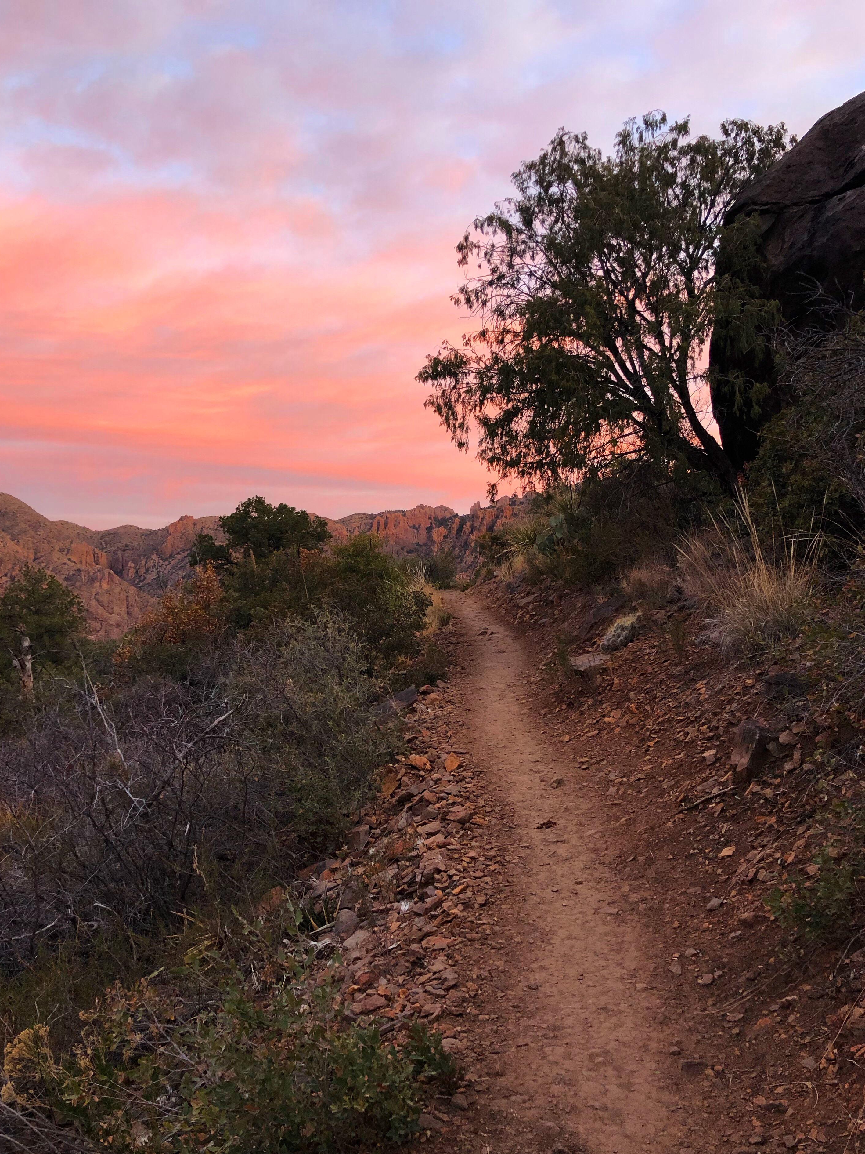Big Bend Taught Me Solitude Isn't Peace