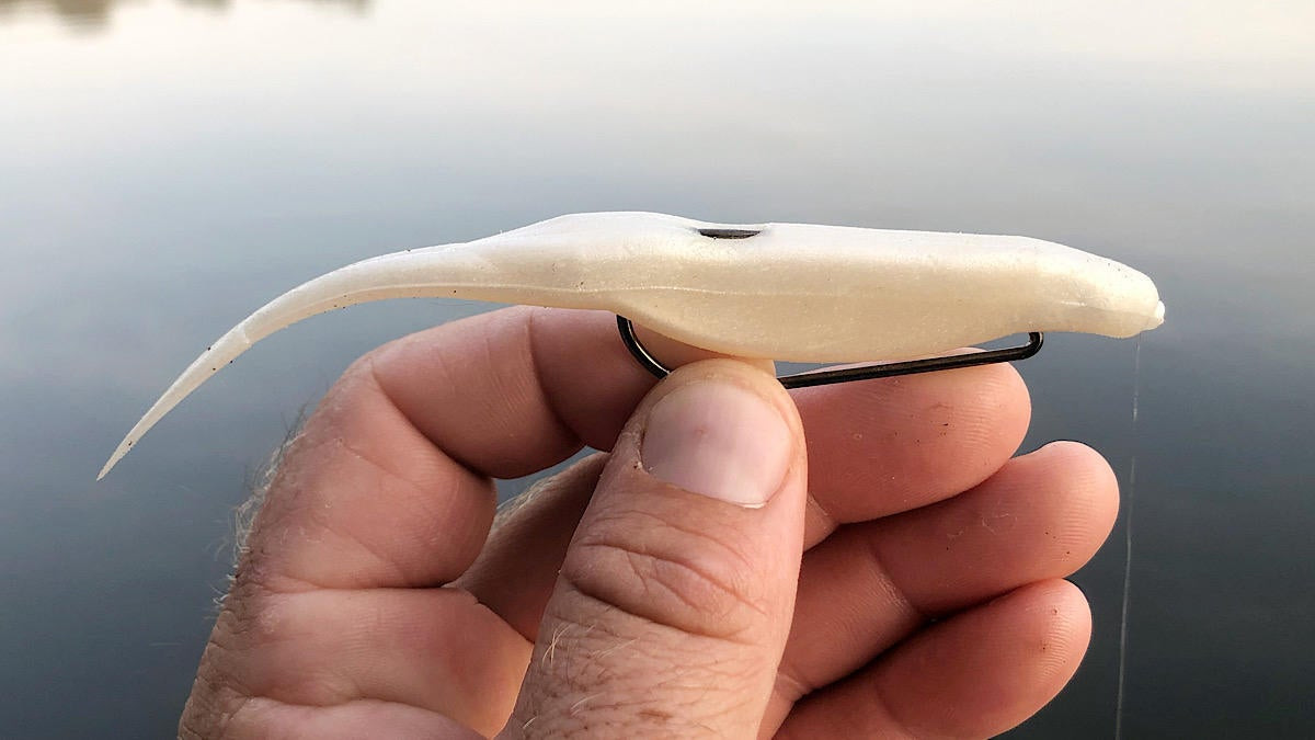 texas-rigged flukes are my go-to lure