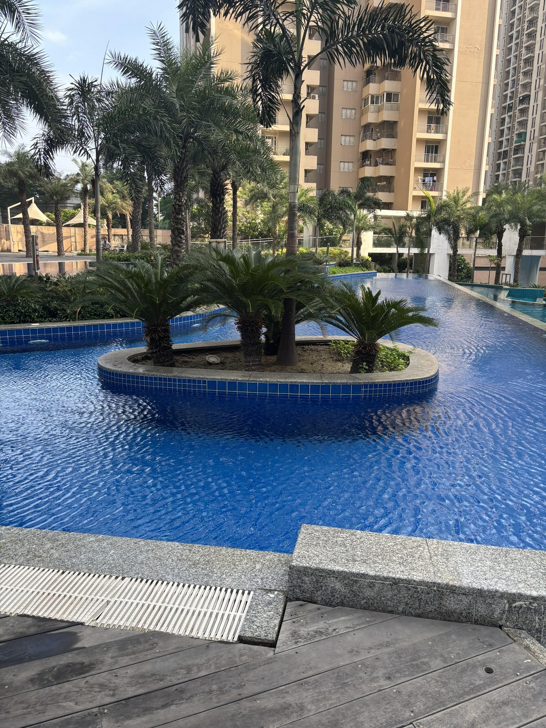 Woke up early this Sunday to catch the pool at 7 AM