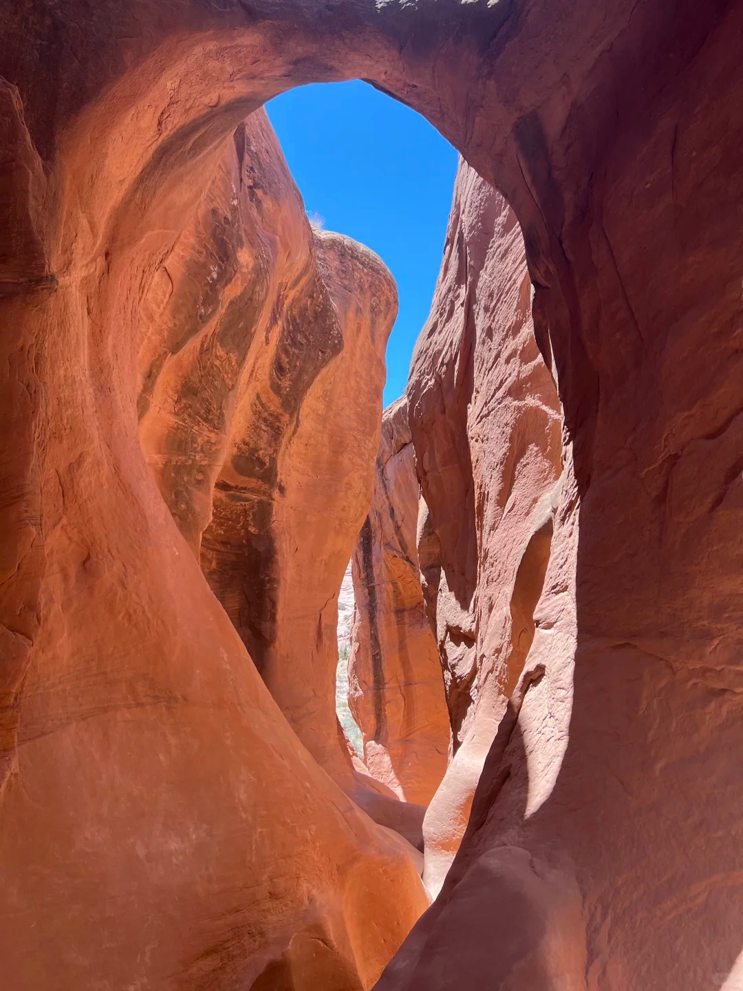 Slot Canyon Dreams: Peekaboo & Spooky🌵✨ 