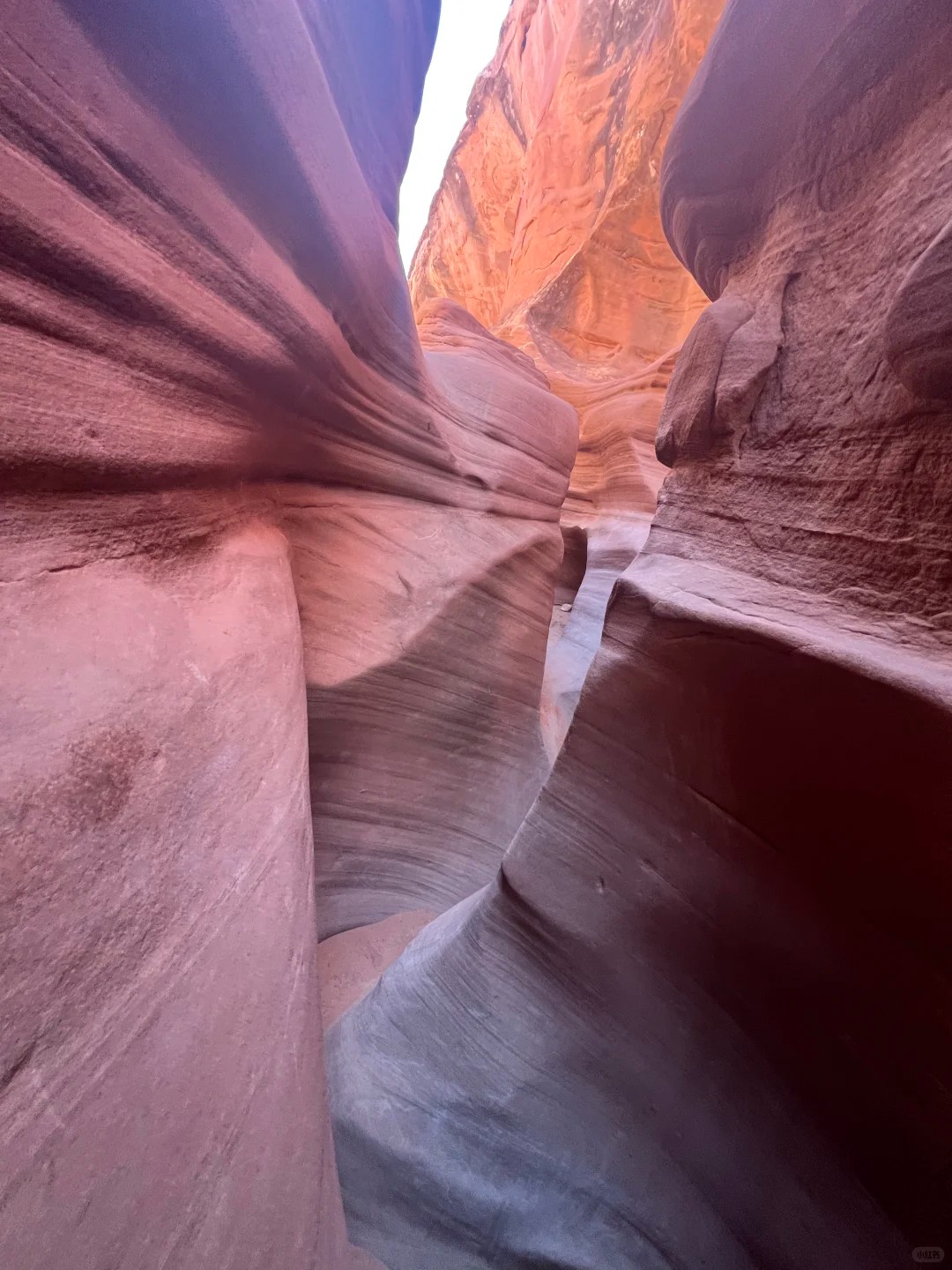 Slot Canyon Dreams: Peekaboo & Spooky🌵✨ 