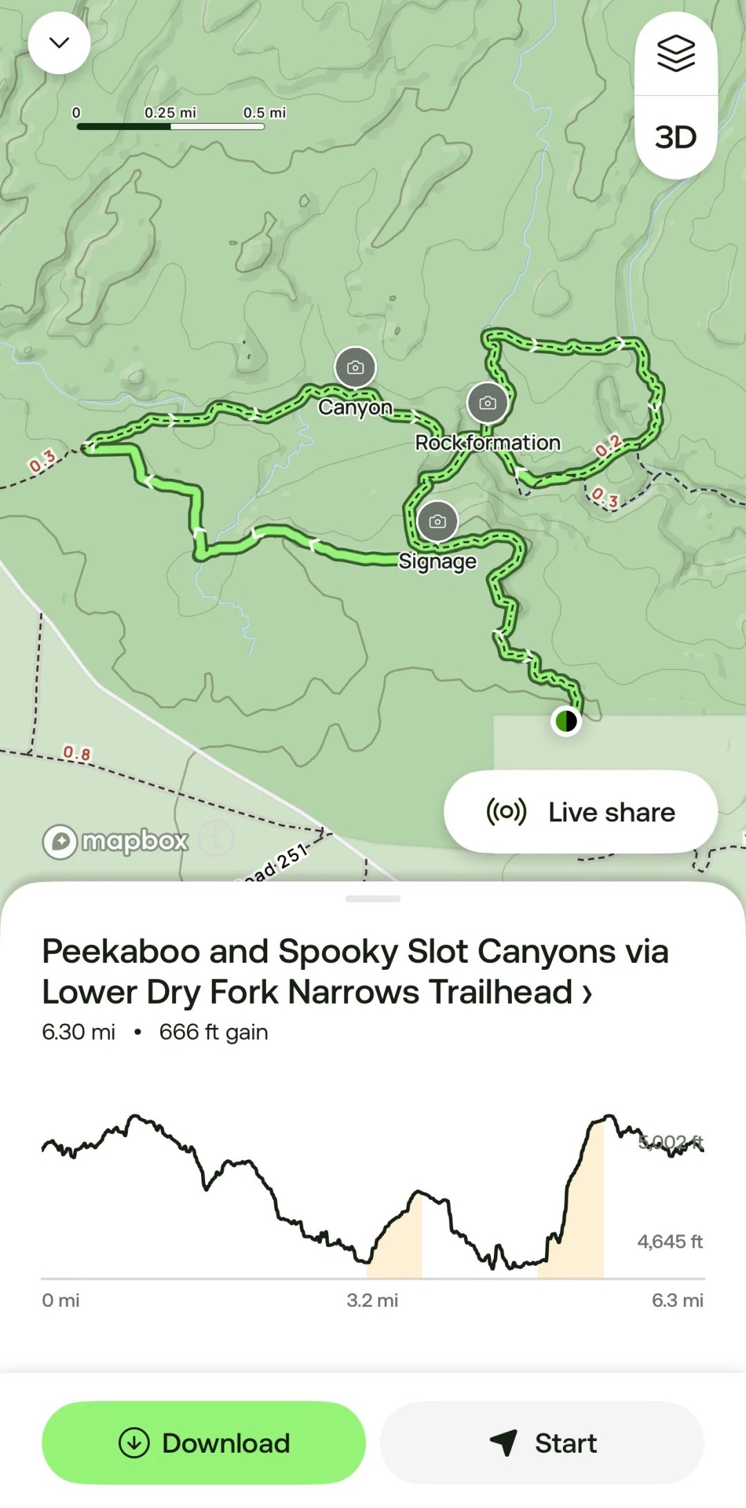 Slot Canyon Dreams: Peekaboo & Spooky🌵✨ 