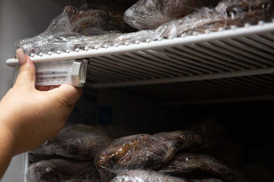 Popular Taco Spot Shut Down Over Parasite Outbreak