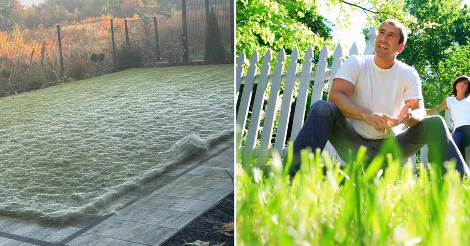 Would You Stay If Your Lawn Looked Like This?