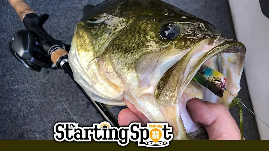 Bass Fishing History Made This Week!