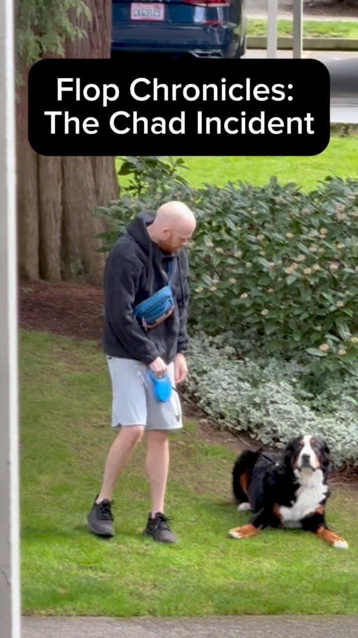 When Your Dog Just Won’t Budge 😂