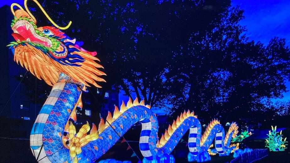 Franklin Square’s Lantern Glow-Up!