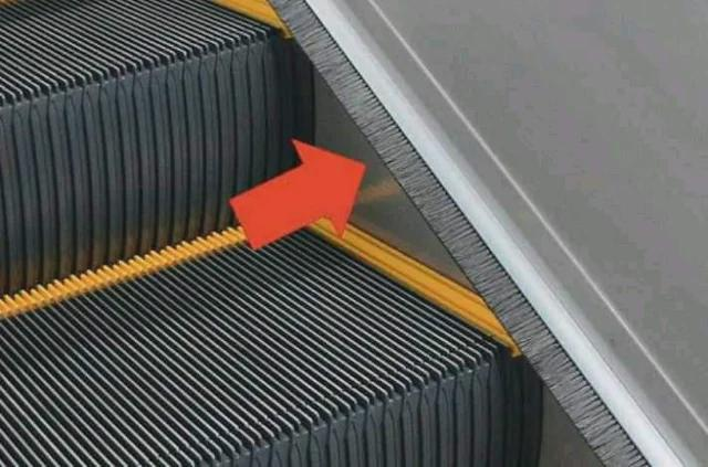What are those escalator brushes actually for? 🤔🤔