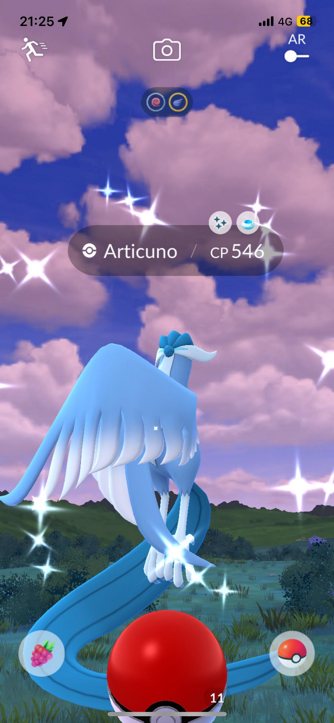 What Popped Up On My Dog Walk??!