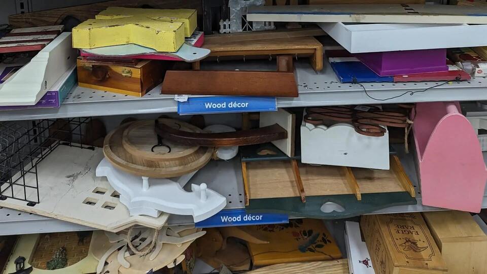 Thrift Store Sells... Just a Rock?!