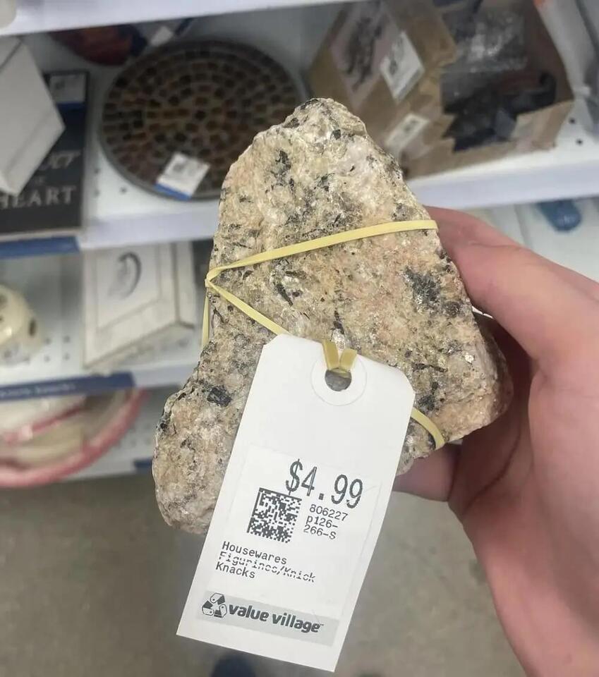 Thrift Store Sells... Just a Rock?!