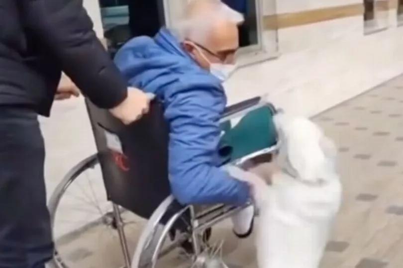 This Dog Waited 6 Days for His Human