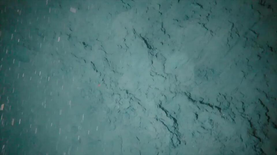 Antarctica’s Hidden Green Past?!
