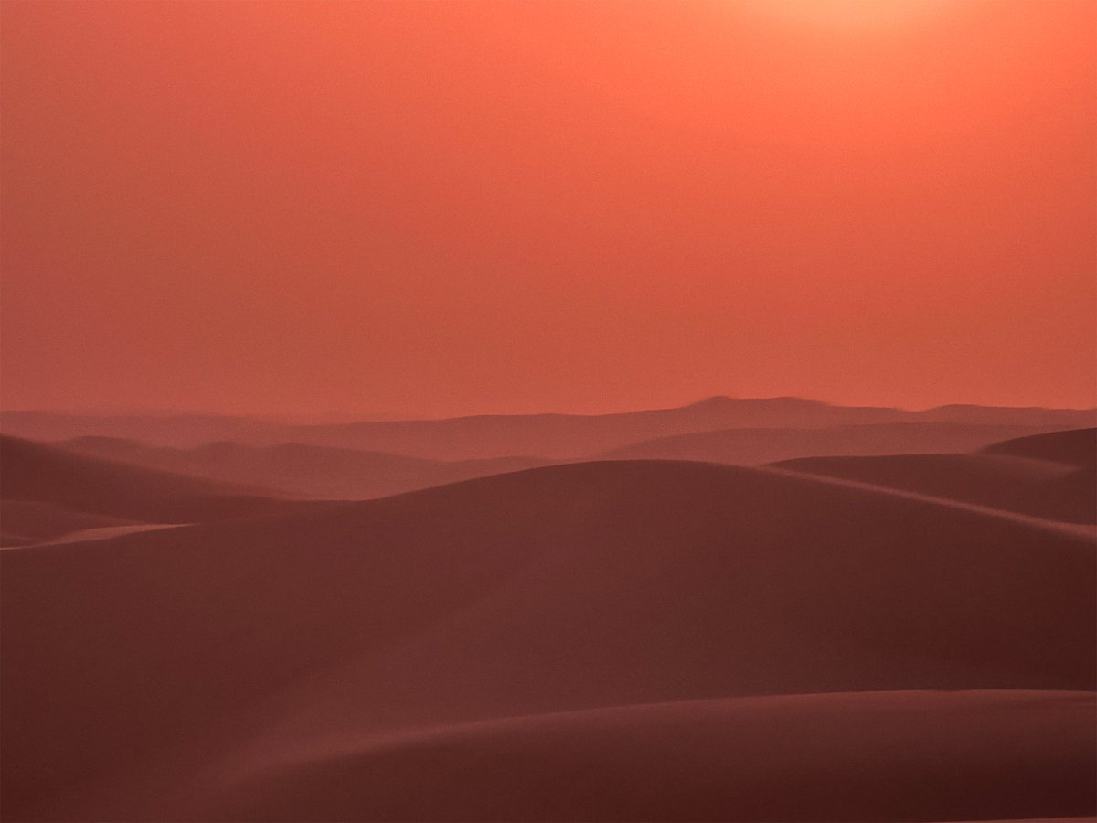 Dune 3 Cast Shake-Up? 🌵