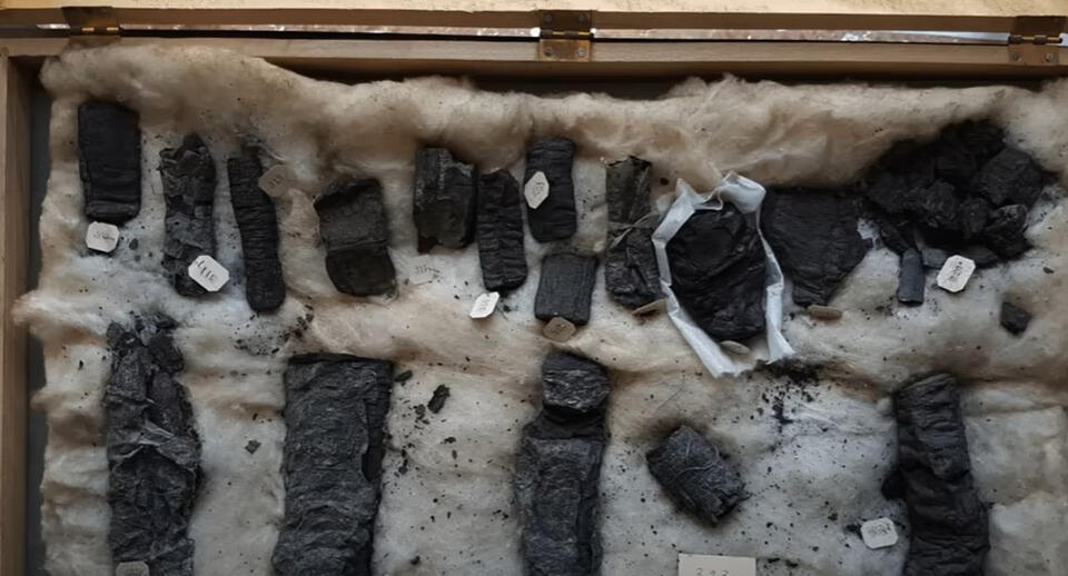 AI Cracks Ancient Scrolls—Game Changer?