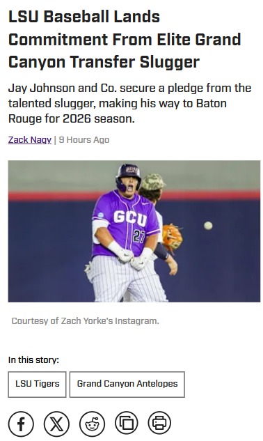 Tigers Nab Power Bat in Portal Battle!
