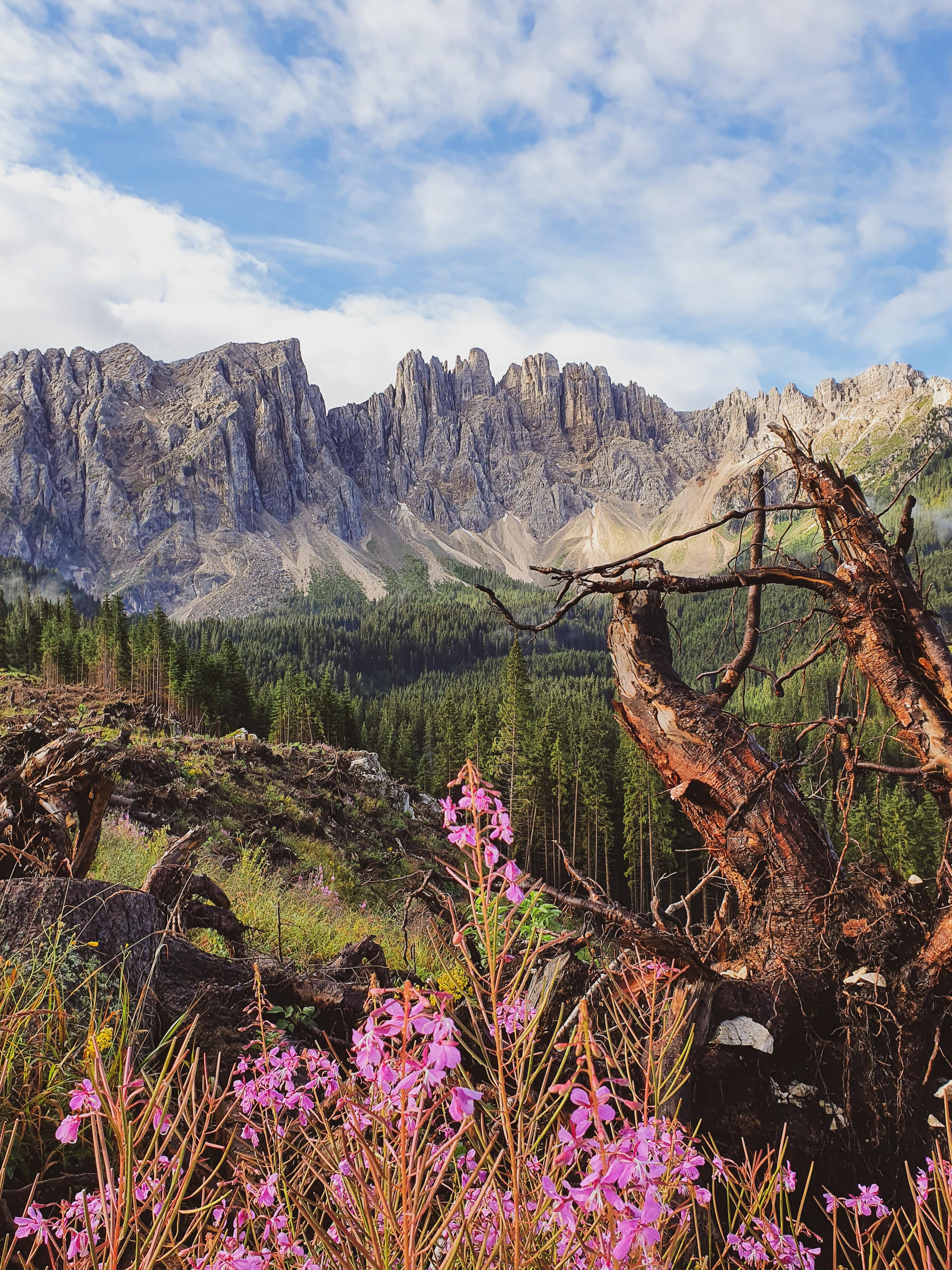 115km in the Dolomites Broke Me