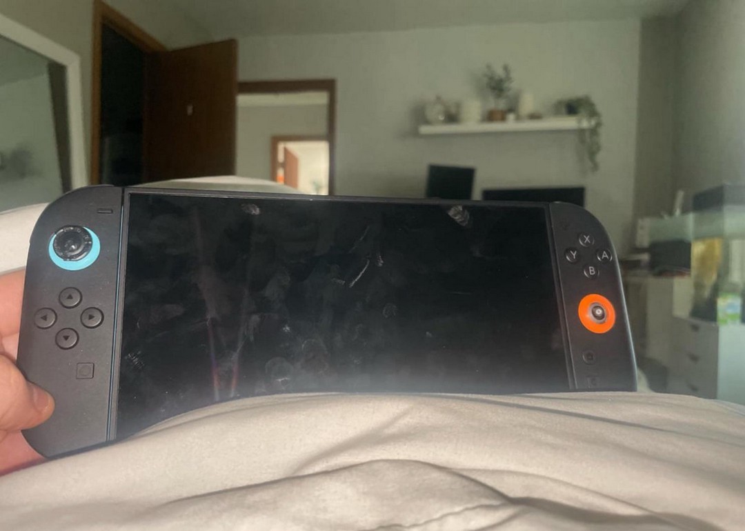 RIP My Switch Joy-Con Thanks to the Pup 😠