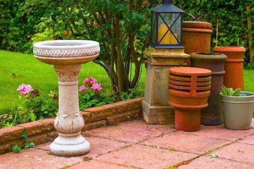 Why Your Birdbath Needs Shade ASAP