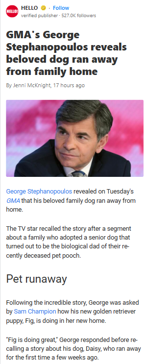 George’s Dog Daisy Ran Away for Love?!