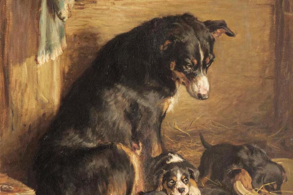 Charlie Watts’ Dog Art Auction Twist 🐶
