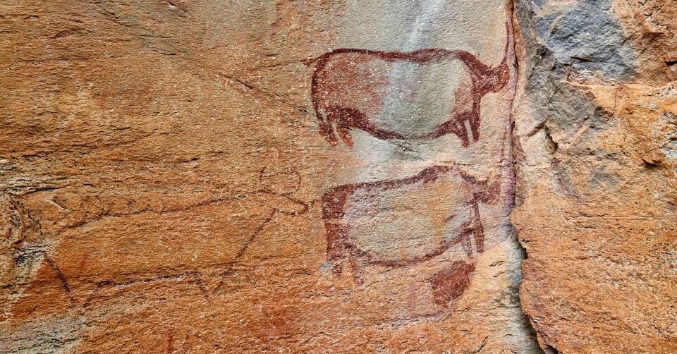 24-Million-Year-Old Rhino Tooth?!