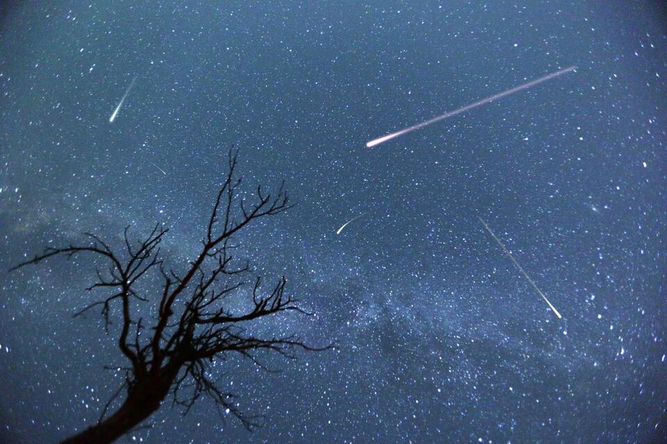 Meteor Shower Watch: Best Nights to Look Up