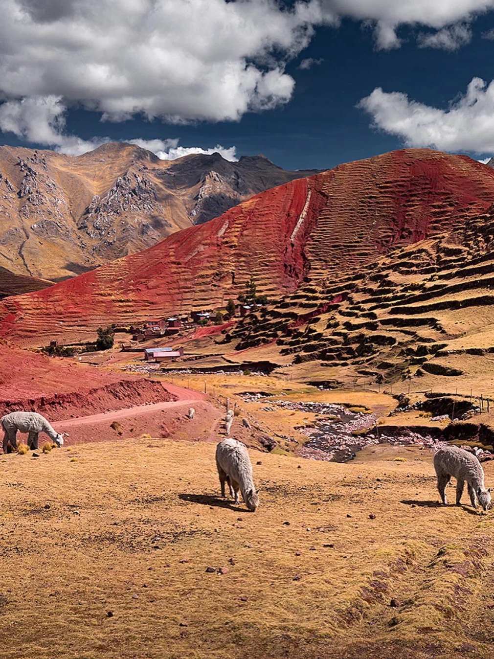 Rainbow Mountain: Nature's Palette, Earth's Dreamlike Wonder