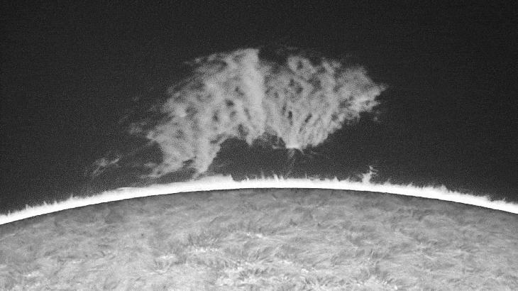 You Have to See 'The Beast' on the Sun