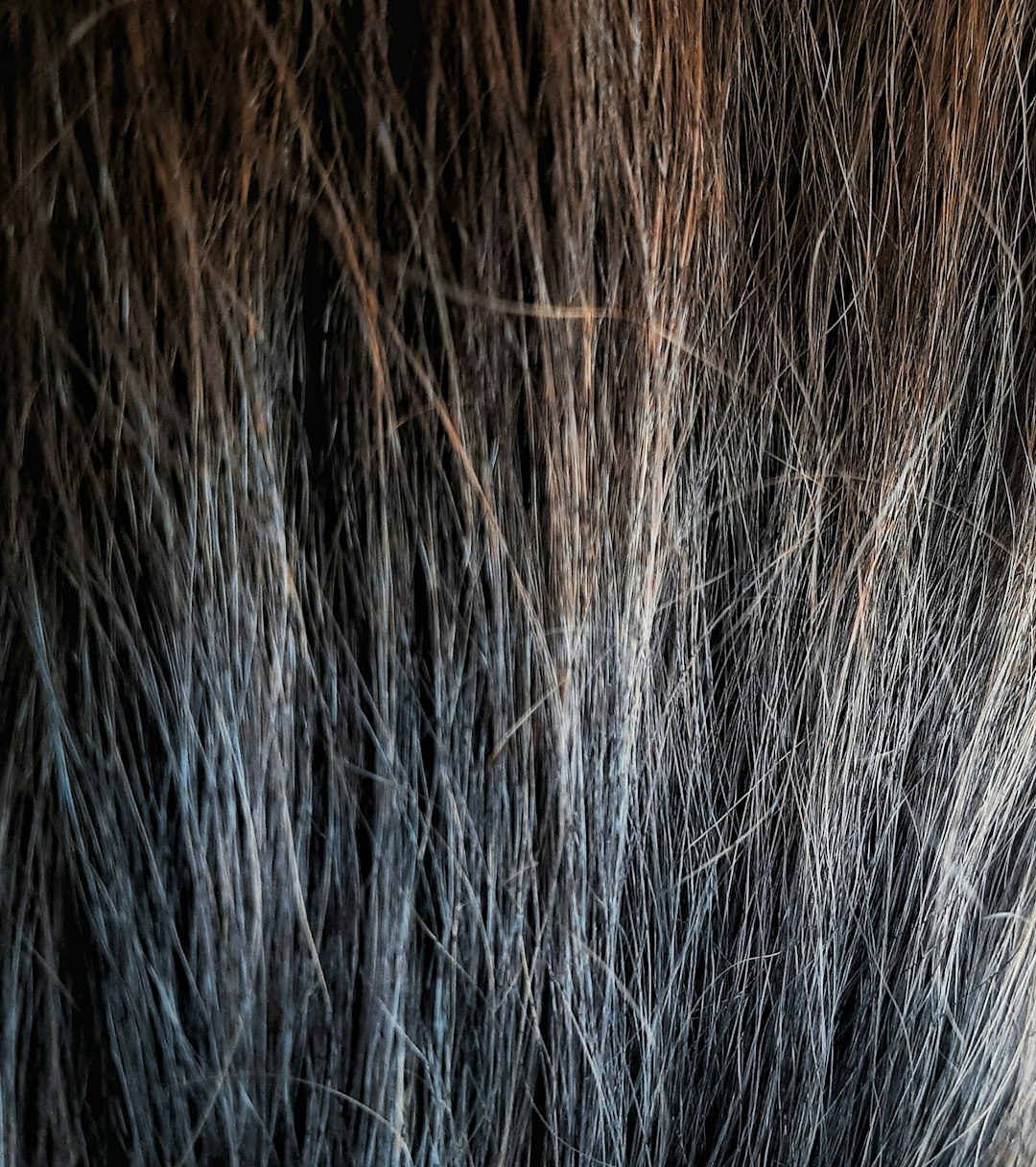 5 signs to look for whether your hair has been damaged! 💇‍♀️