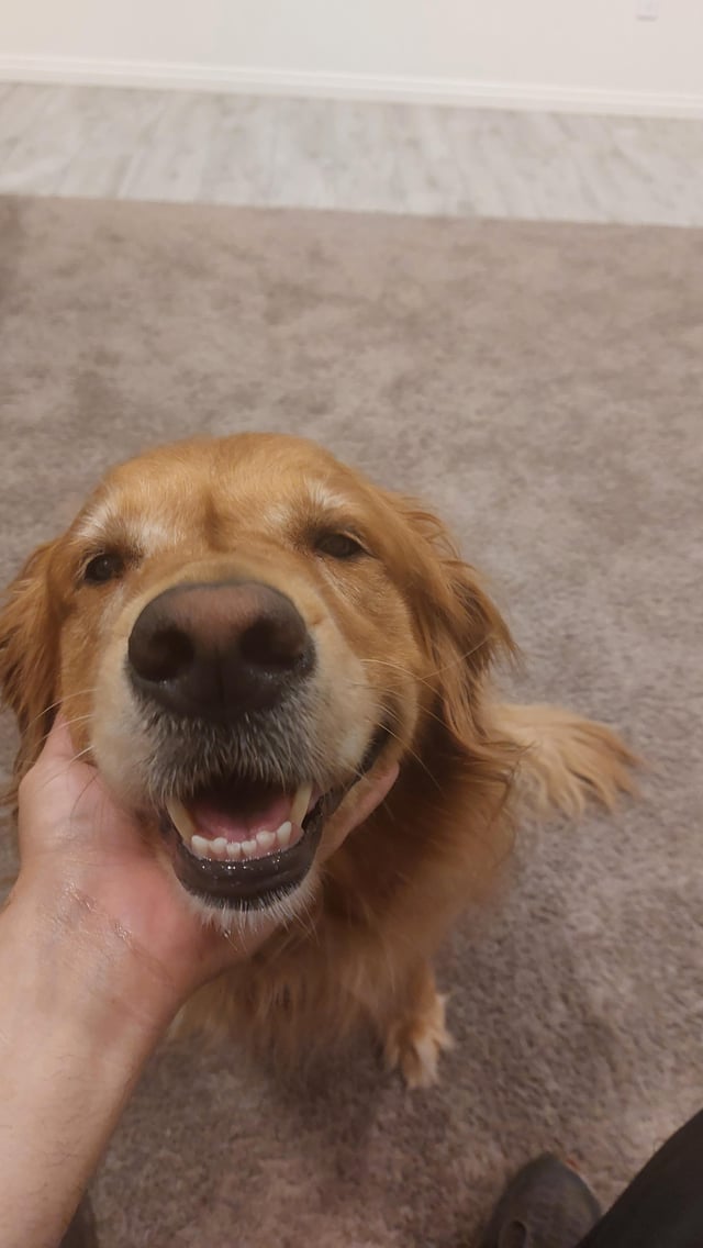 🐾 day 95 — she came closer when i sneezed