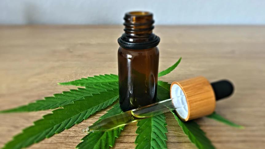 CBD Shows Major Promise for Tough Seizures