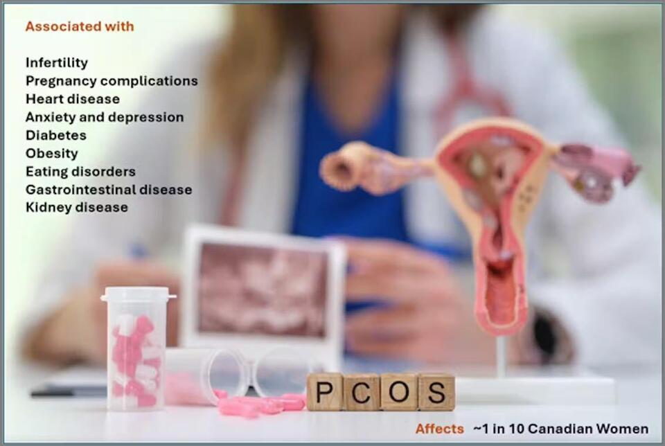 PCOS: The Silent Struggle No One Talks About