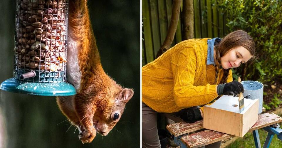 The Weird Trick That Stops Squirrels Cold