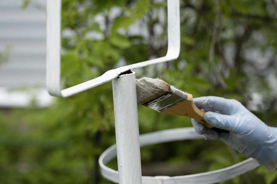 The Weird Trick That Stops Squirrels Cold