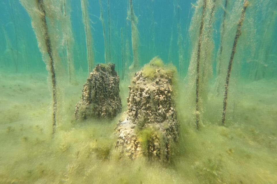 Europe’s Oldest Lake Village Uncovered!