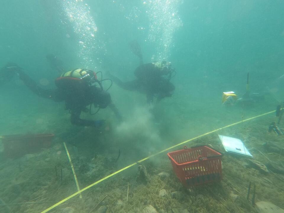 Europe’s Oldest Lake Village Uncovered!