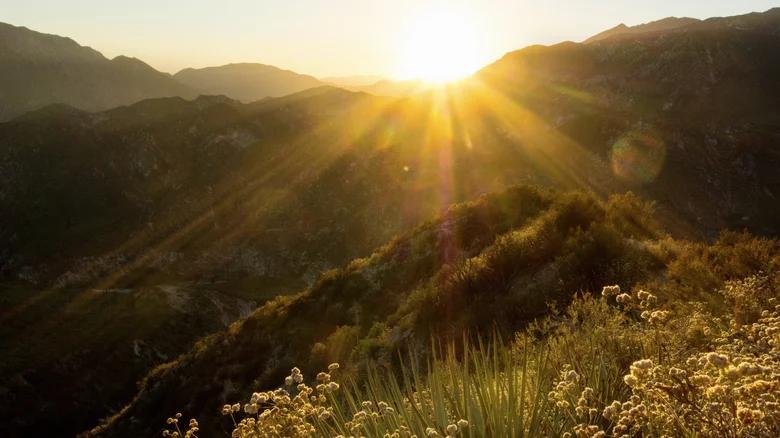 Hidden LA Waterfall Hike is Back!
